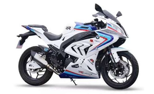 OW S1000RR 300cc